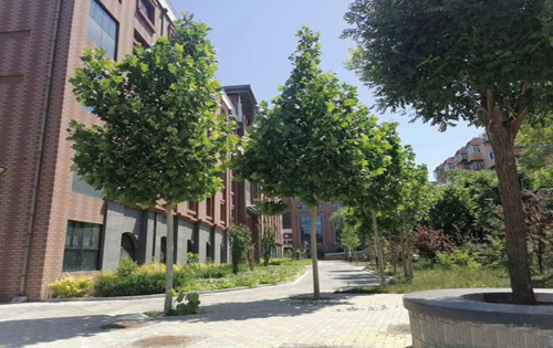 和义文化产业园内景