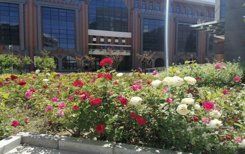 和义文化产业园正门